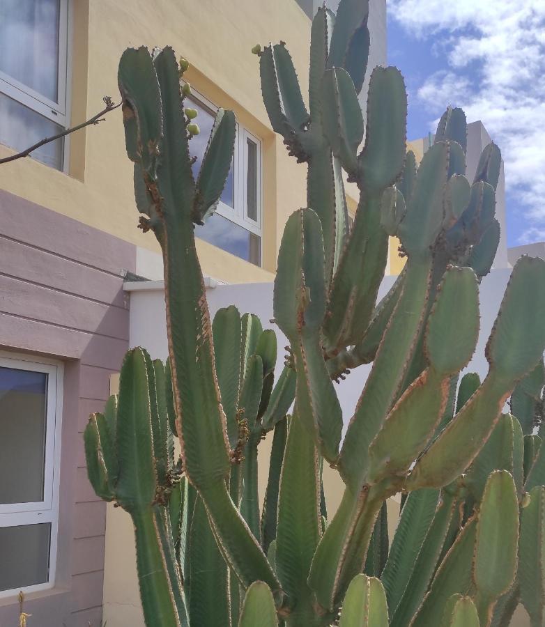 Apartamento Con Azotea Privada #Thefunnycactus Daire Puerto del Rosario  Dış mekan fotoğraf